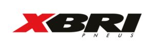 XBRI